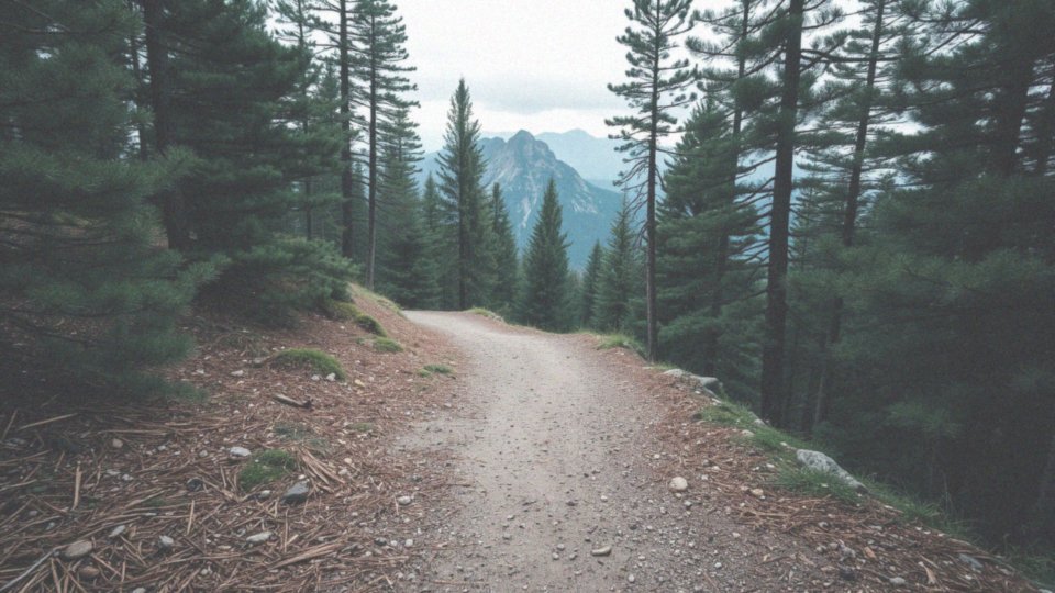 Jakie szlaki są polecane dla miłośników hikingu?