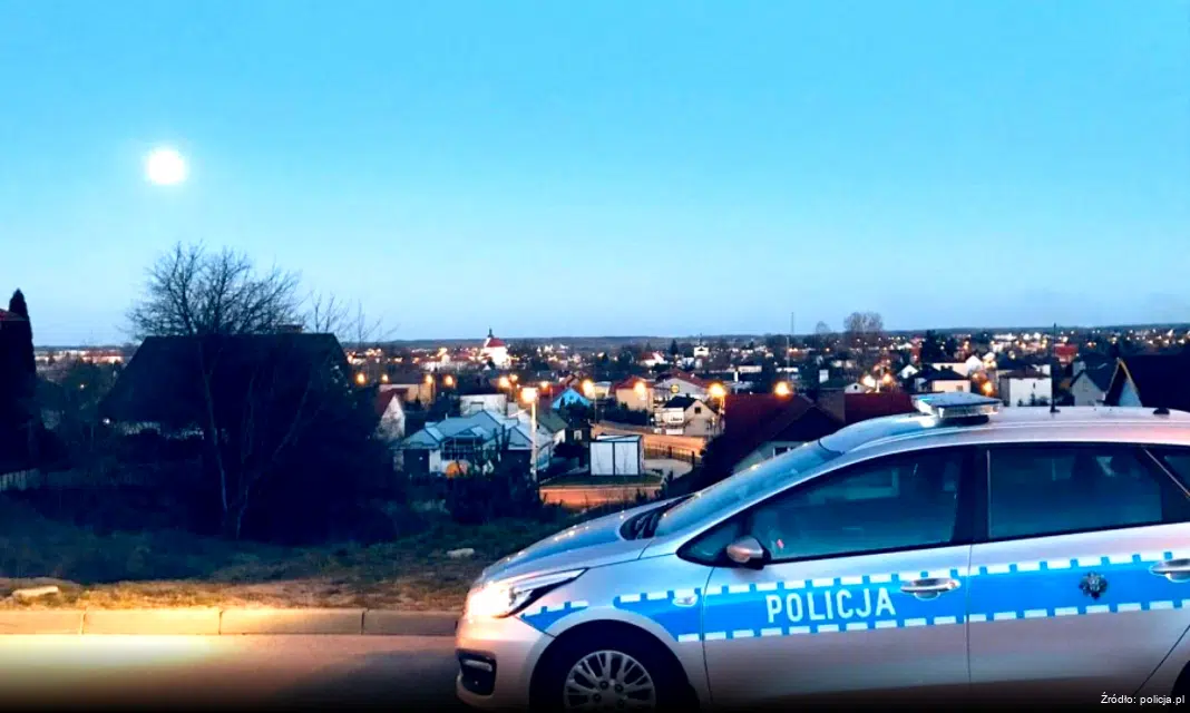 Działania „Bezpieczny pieszy” w Malborku