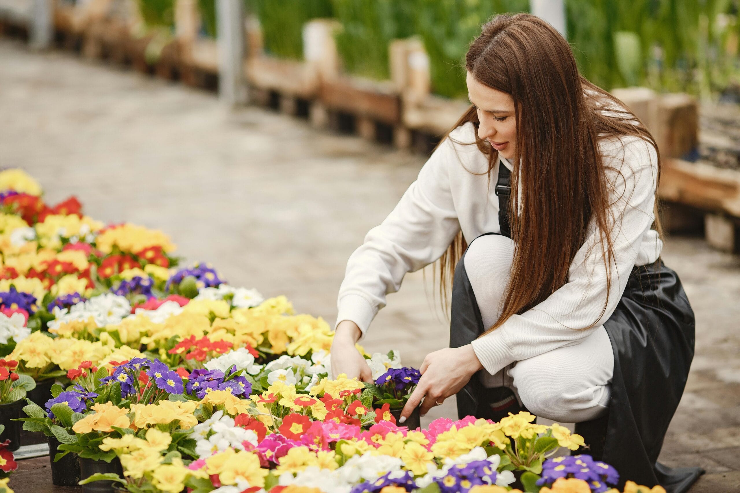 Pachnące lilie, hiacynty i narcyzy – jak stworzyć rabatę zapachową krok po kroku?