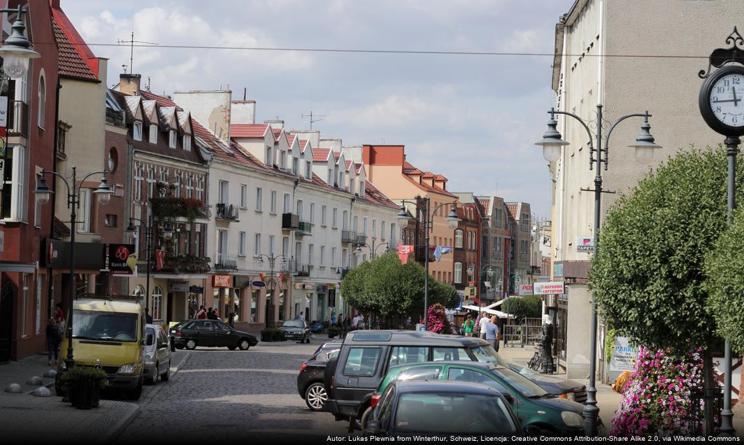 Charytatywna zbiórka elektrośmieci w Malborku na rzecz bezdomnych zwierząt